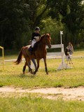 DSC09956 DSC09956