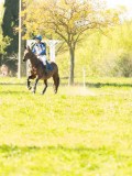DSC00228 DSC00228