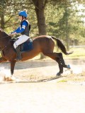 DSC00234 DSC00234