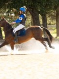 DSC00236 DSC00236