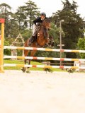 DSC05769 DSC05769