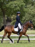IMG_0991 IMG_0991