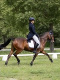 IMG_0993 IMG_0993