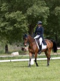 IMG_0994 IMG_0994