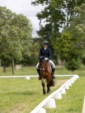 IMG_0997 IMG_0997