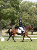 IMG_1002 IMG_1002
