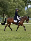 IMG_1004 IMG_1004