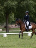 IMG_1006 IMG_1006