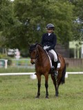 IMG_1008 IMG_1008