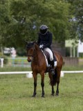 IMG_1009 IMG_1009