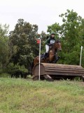 IMG_3117 IMG_3117