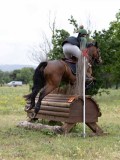 IMG_3123 IMG_3123