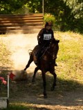 DSC00245 DSC00245