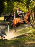DSC00248 DSC00248