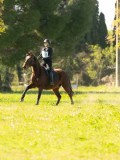 DSC00462 DSC00462