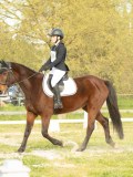 DSC08387 DSC08387