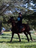 IMG_2054 IMG_2054