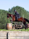 IMG_2061 IMG_2061