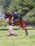 IMG_2063 IMG_2063