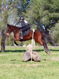 IMG_2064 IMG_2064