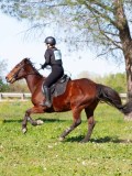IMG_2067 IMG_2067