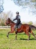 IMG_2068 IMG_2068