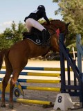 DSC00635 DSC00635
