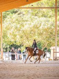 IMG_8727 IMG_8727