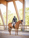 IMG_8739 IMG_8739