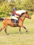DSC09980 DSC09980