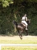 24_06086 24_06086