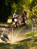 DSC00263 DSC00263