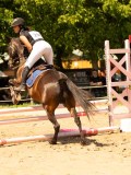 DSC09866