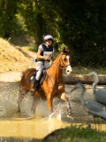 DSC00278 DSC00278