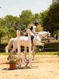 DSC00240 DSC00240