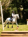 DSC01426 DSC01426