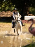 DSC01429 DSC01429