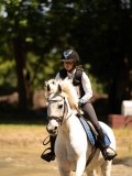DSC01431 DSC01431