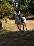 DSC01432 DSC01432