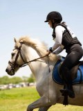 DSC01434 DSC01434