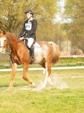 DSC08423 DSC08423