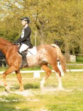 DSC08425 DSC08425