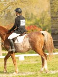 DSC08433 DSC08433