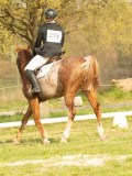 DSC08434 DSC08434