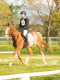 DSC08437 DSC08437