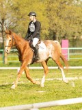 DSC08438 DSC08438