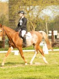 DSC08440 DSC08440