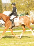 DSC08444 DSC08444