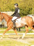 DSC08445 DSC08445