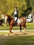 DSC08446 DSC08446